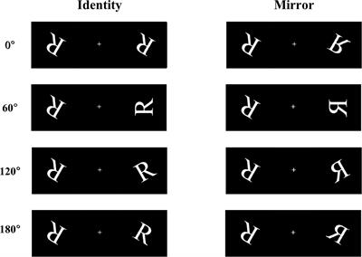 Enhanced effective connectivity from the middle frontal gyrus to the parietal lobe is associated with impaired mental rotation after total sleep deprivation: An electroencephalogram study